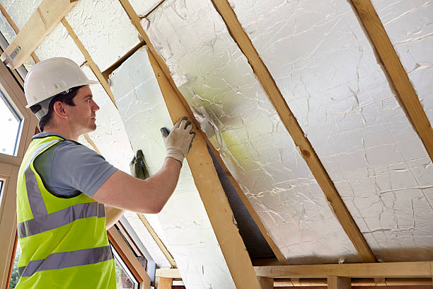Best Insulation Installation Services in Kings Park West, VA