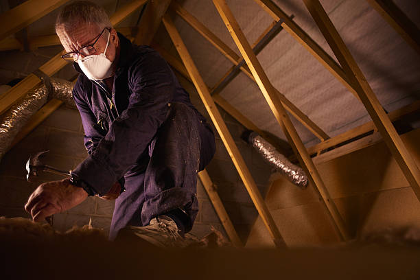 Best Types of Insulation in Kings Park West, VA