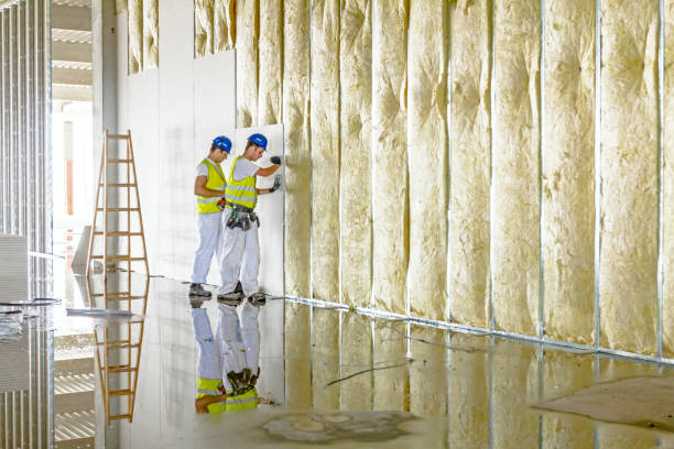 Best Specialty Insulation in Kings Park West, VA